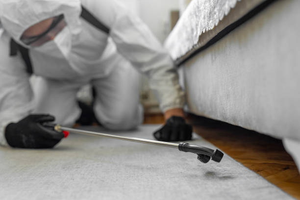 Professional Fumigation Services technician working in Warrensburg, IL