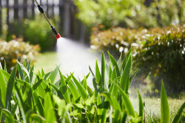 24/7 Emergency Fumigation Services experts in Warrensburg, IL