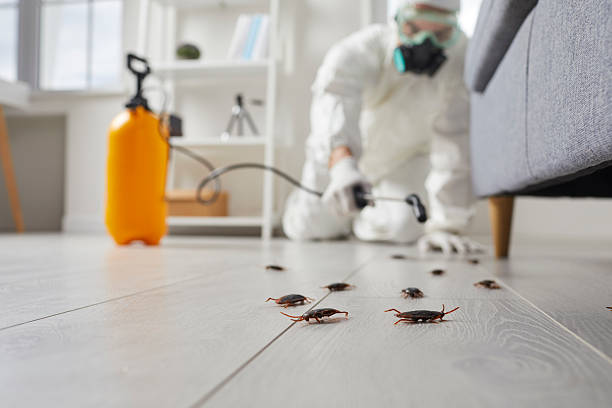 Trusted Emergency Pest Control service in Warrensburg, IL - Nex Pest Control